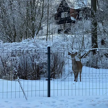 Lisi Rewir - Fox District House * Szklarska Poreba
